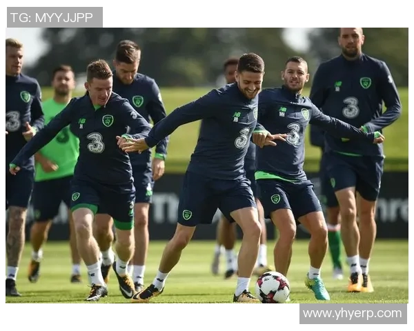 爱尔兰与格鲁吉亚足球赛分析与推荐汇总全方位解读