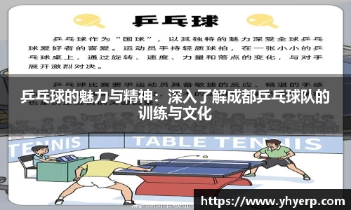 乒乓球的魅力与精神：深入了解成都乒乓球队的训练与文化